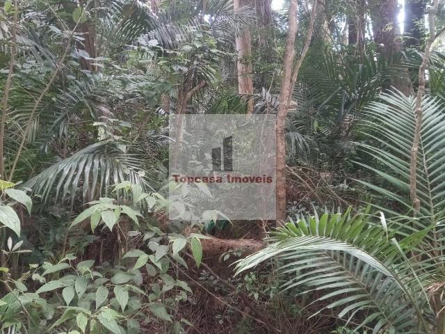 Sítio e chácara venda em Parelheiros, São Paulo