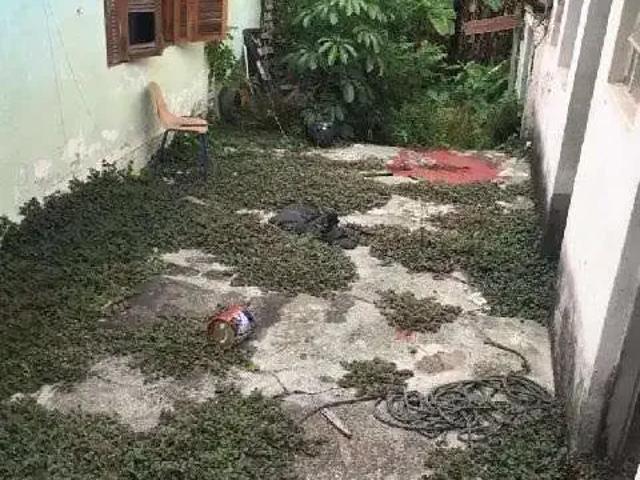Sítio e chácara venda em Região Imediata de São Paulo, Região Metropolitana de São Paulo