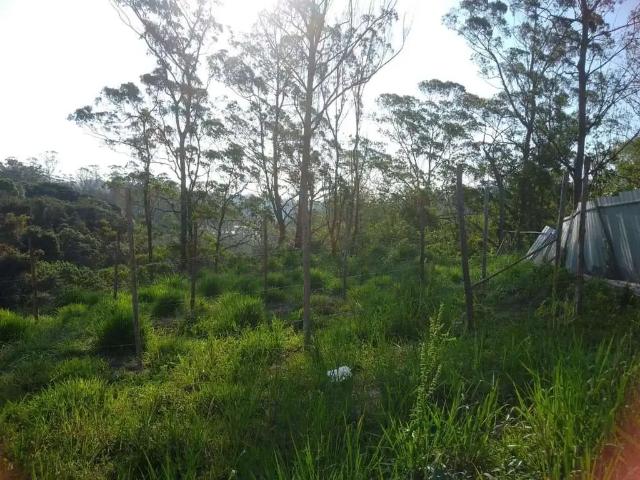 Sítio e chácara venda em Região Imediata de São Paulo, Região Metropolitana de São Paulo