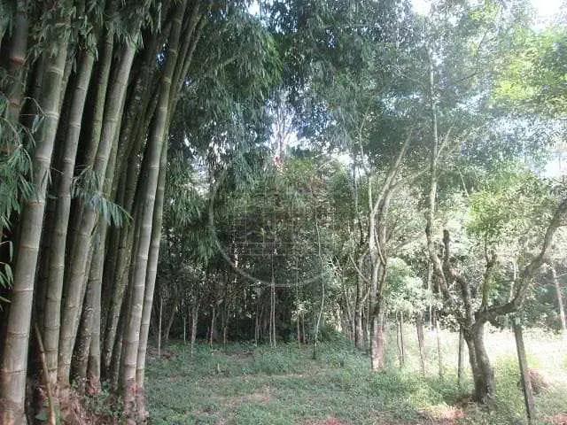 Sítio e chácara venda em Região Imediata de São Paulo, Região Metropolitana de São Paulo