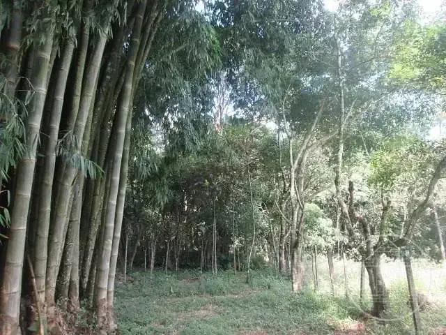 Sítio e chácara venda em Região Imediata de São Paulo, Região Metropolitana de São Paulo