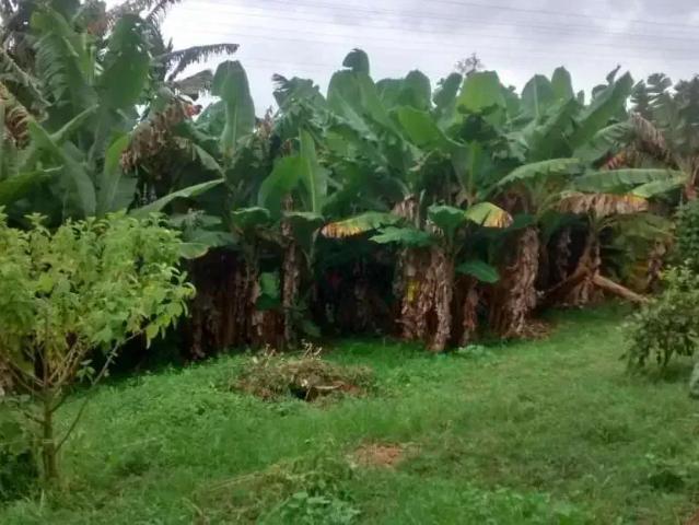 Sítio e chácara venda em Região Imediata de São Paulo, Região Metropolitana de São Paulo