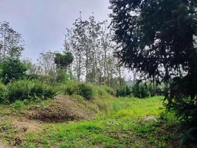 Sítio e chácara venda em Região Imediata de São Paulo, Região Metropolitana de São Paulo