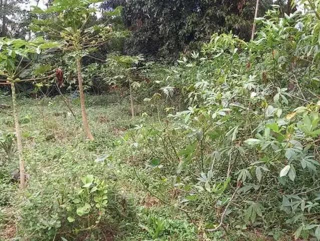Sítio e chácara venda em Região Imediata de São Paulo, Região Metropolitana de São Paulo