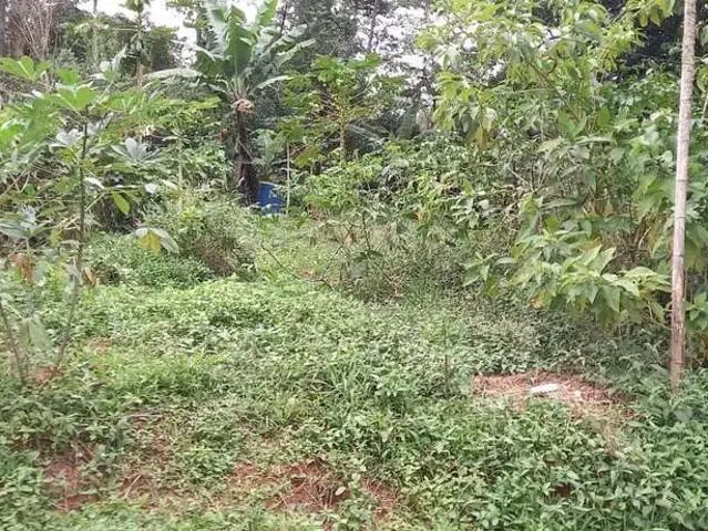 Sítio e chácara venda em Região Imediata de São Paulo, Região Metropolitana de São Paulo