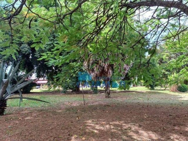 Sítio e chácara venda em São Pedro