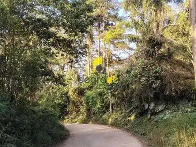 Sítio e chácara venda em Região Imediata de Presidente Prudente, Mirante do Paranapanema
