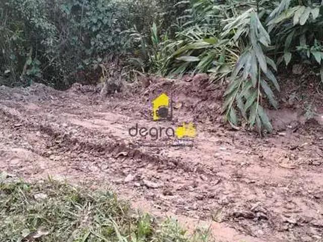 Sítio e chácara venda em Região Imediata de Presidente Prudente, Mirante do Paranapanema