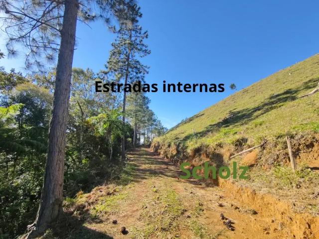 Sítio e chácara venda em Região Geográfica Imediata de Florianópolis, São Pedro de Alcântara