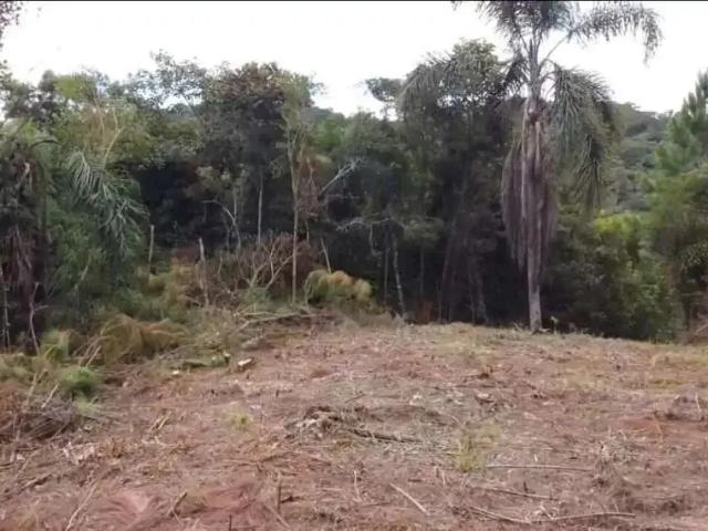 Sítio e chácara venda em Região Geográfica Imediata de Florianópolis, São Pedro de Alcântara