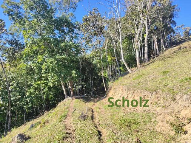 Sítio e chácara venda em Região Geográfica Imediata de Florianópolis, São Pedro de Alcântara