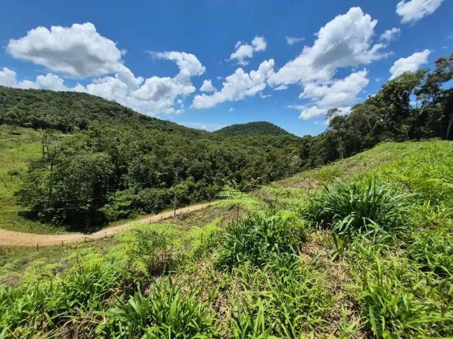 Sítio e chácara venda em Região Geográfica Imediata de Florianópolis, São Pedro de Alcântara