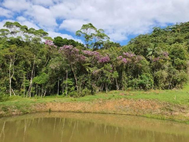 Sítio e chácara venda em São Pedro de Alcântara