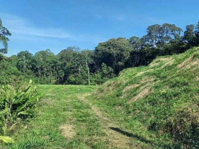 Sítio e chácara venda em São Pedro de Alcântara, Vila Junckes