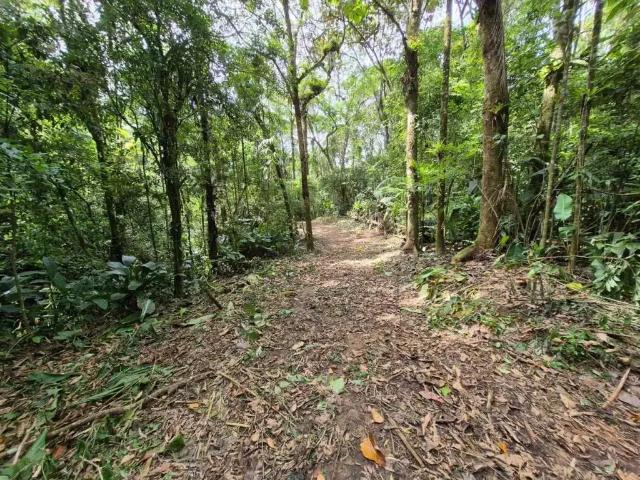 Sítio e chácara venda em Região Geográfica Imediata de Florianópolis, São Pedro de Alcântara