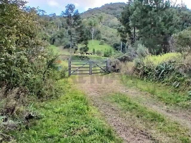Sítio e chácara venda em São Pedro de Alcântara, Região Geográfica Intermediária de Florianópolis