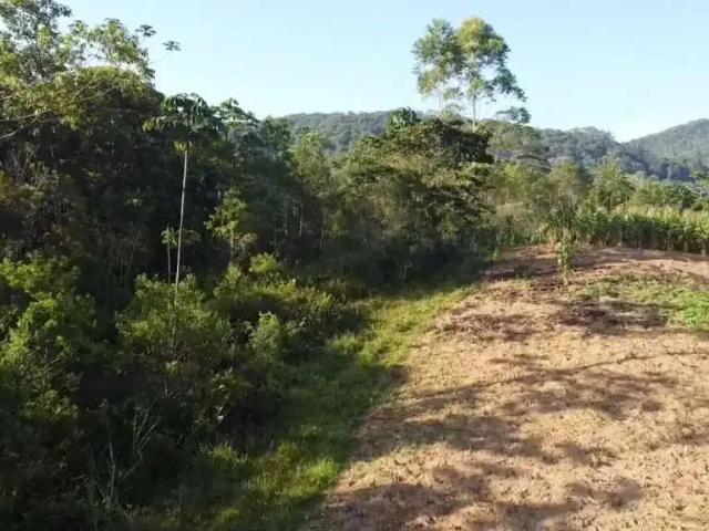 Sítio e chácara venda em Região Geográfica Imediata de Florianópolis, São Pedro de Alcântara