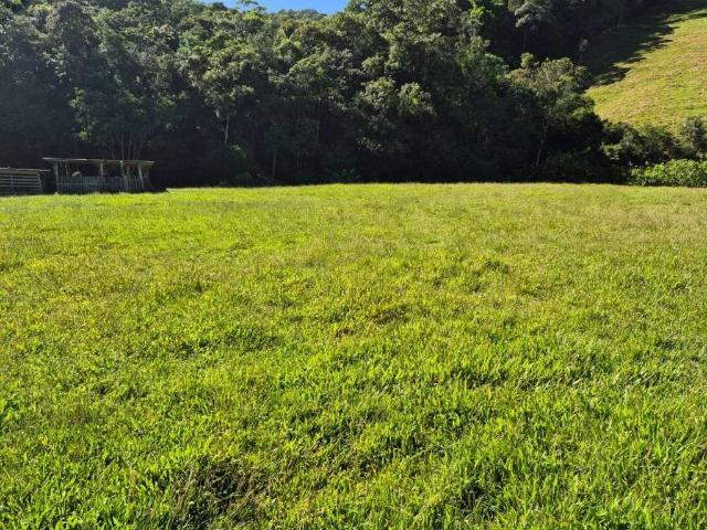 Sítio e chácara venda em São Pedro de Alcântara