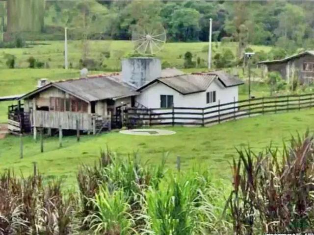 Sítio e chácara venda em Região Geográfica Imediata de Florianópolis, São Pedro de Alcântara