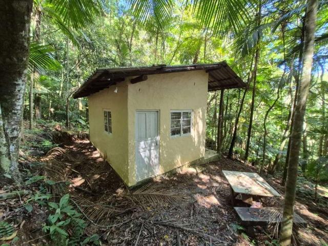 Sítio e chácara venda em São Pedro de Alcântara