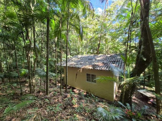 Sítio e chácara venda em Região Geográfica Imediata de Florianópolis, São Pedro de Alcântara