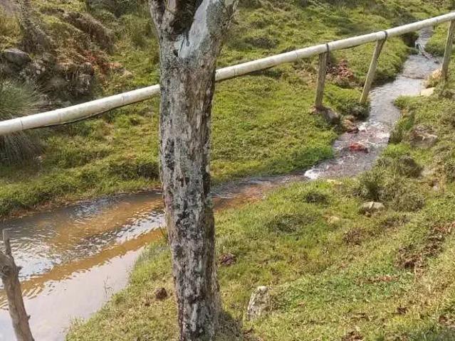 Sítio e chácara venda em Região Geográfica Imediata de Florianópolis, São Pedro de Alcântara