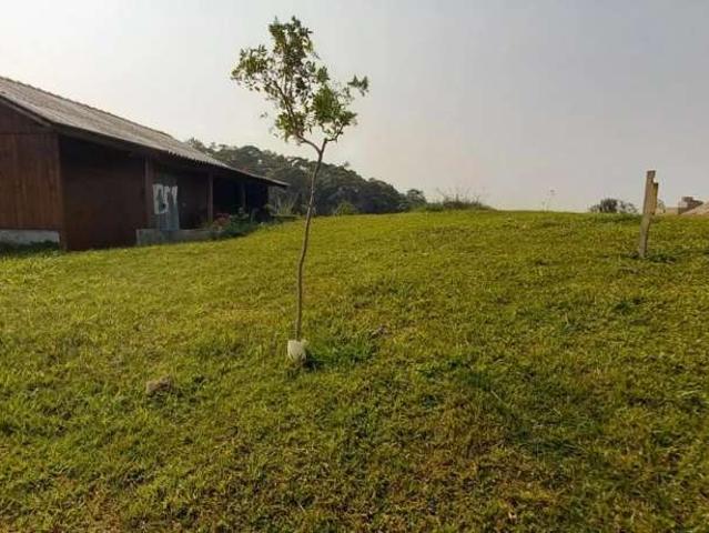 Sítio e chácara venda em São Pedro de Alcântara