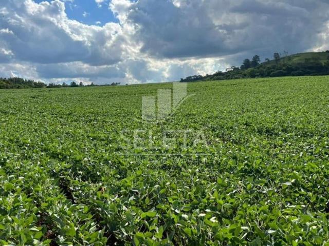 Sítio e chácara venda em São Pedro do Iguaçu, Região Geográfica Intermediária de Cascavel