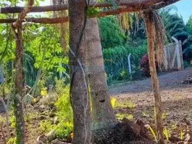 Sítio e chácara venda em Região Geográfica Imediata de Apucarana, São Pedro do Ivaí