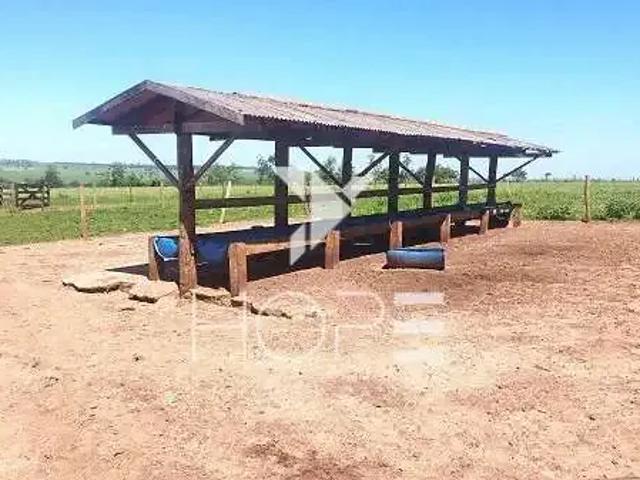 Sítio e chácara venda em Região Geográfica Imediata de Loanda, São Pedro do Paraná