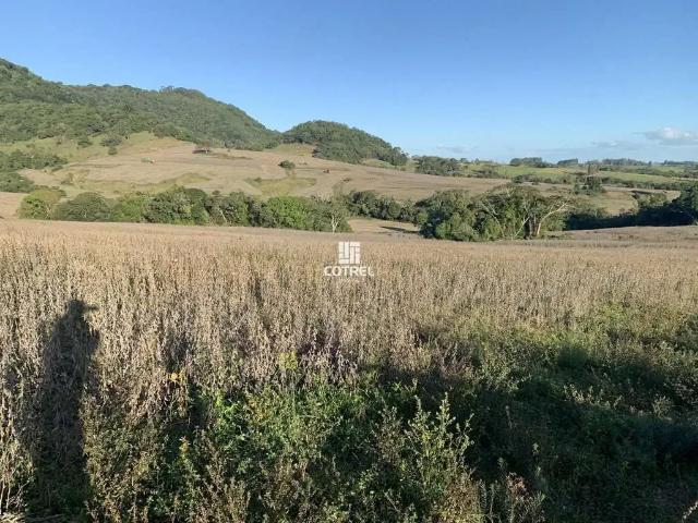 Sítio e chácara venda em Região Geográfica Imediata de Santa Maria, São Pedro do Sul