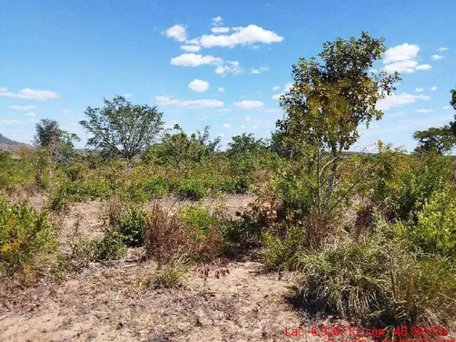 Sítio e chácara venda em São Pedro dos Crentes, Região Nordeste