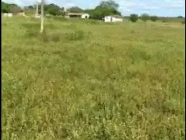 Sítio e chácara venda em Região Geográfica Imediata de Natal, São Pedro