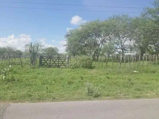 Sítio e chácara venda em Região Geográfica Imediata de Natal, São Pedro