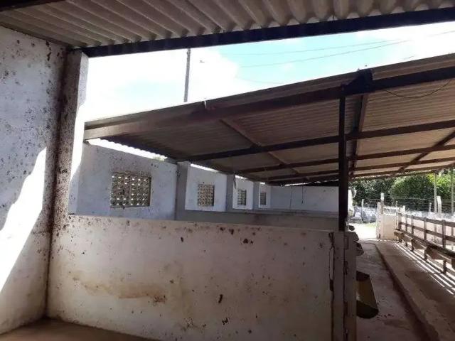 Sítio e chácara venda em Região Geográfica Imediata de Natal, São Pedro