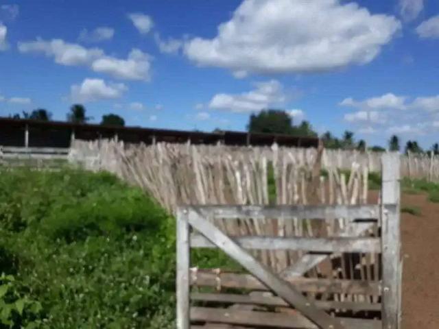 Sítio e chácara venda em Região Geográfica Imediata de Natal, São Pedro