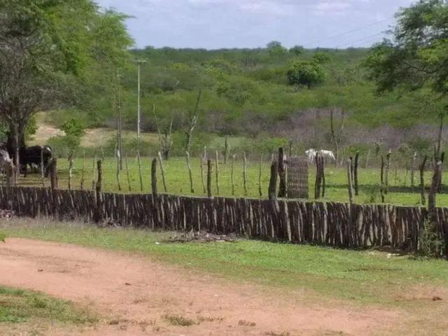Sítio e chácara venda em Região Geográfica Imediata de Natal, São Pedro