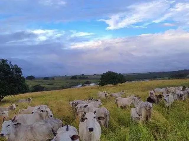 Sítio e chácara venda em Região Geográfica Imediata de Natal, São Pedro