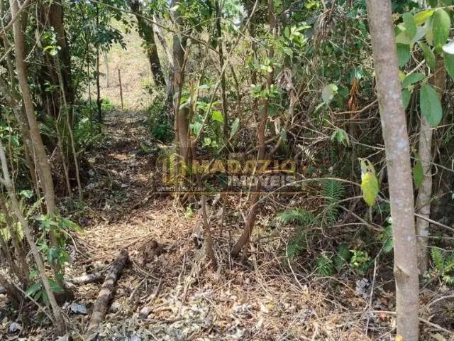 Sítio e chácara venda em Região Imediata de Piracicaba, Região Metropolitana de Piracicaba