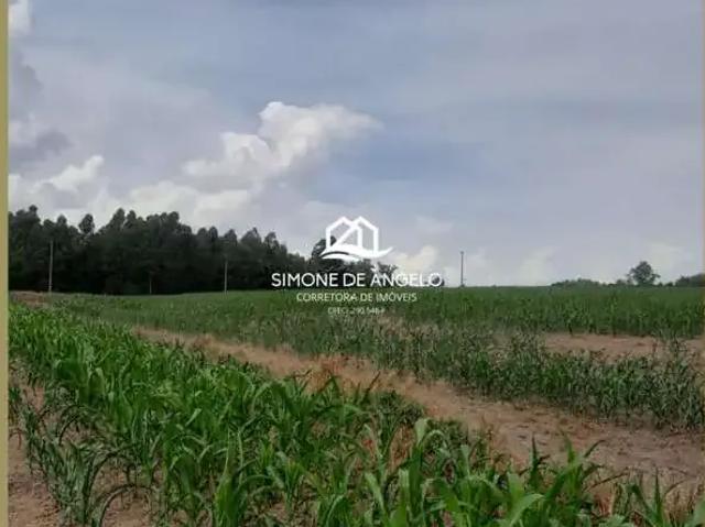 Sítio e chácara venda em Região Imediata de Piracicaba, Região Metropolitana de Piracicaba