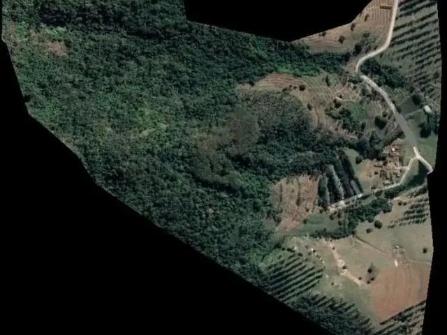 Sítio e chácara venda em São Pedro