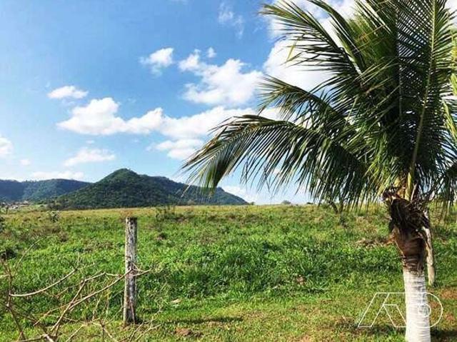 Sítio e chácara venda em Região Imediata de São José do Rio Preto, Novo Horizonte