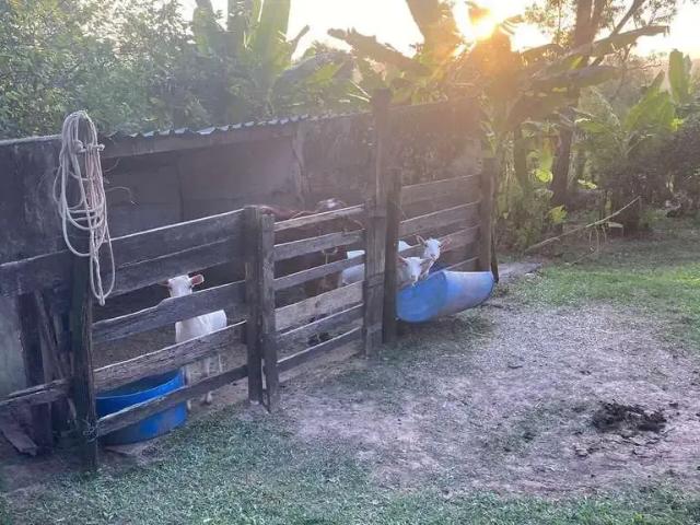 Sítio e chácara venda em Região Imediata de Piracicaba, Região Metropolitana de Piracicaba