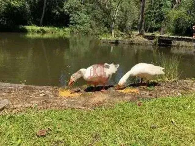 Sítio e chácara venda em Região Imediata de Sorocaba, Região Metropolitana de Sorocaba