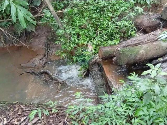 Sítio e chácara venda em Região Imediata de Sorocaba, Região Metropolitana de Sorocaba