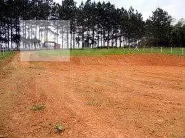 Sítio e chácara venda em Sítio Itacolomi, São Roque