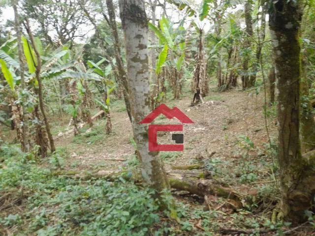 Sítio e chácara venda em Região Imediata de Sorocaba, Região Metropolitana de Sorocaba