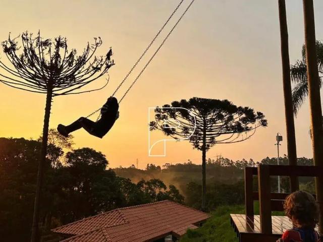 Sítio e chácara venda em Mailasqui, São Roque