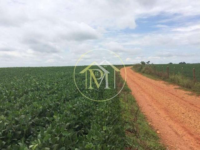 Sítio e chácara venda em Centro, Tatuí