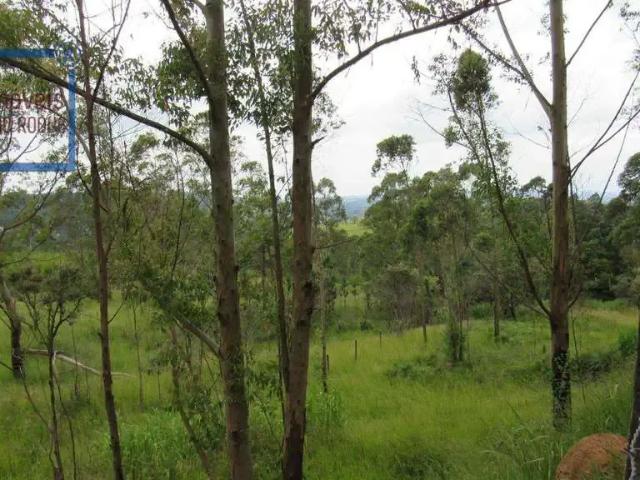 Sítio e chácara venda em Região Imediata de Sorocaba, Região Metropolitana de Sorocaba